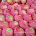 Supplying From Orchard Fresh Red Qinguan Apple